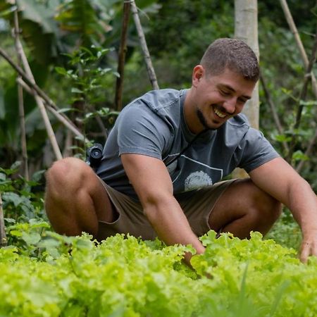 Готель Pousada Salve Floresta Тапіраі Екстер'єр фото