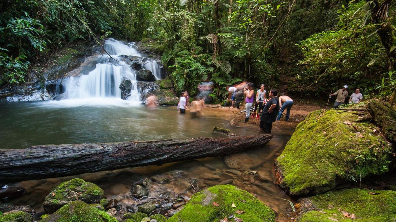 Готель Pousada Salve Floresta Тапіраі Екстер'єр фото