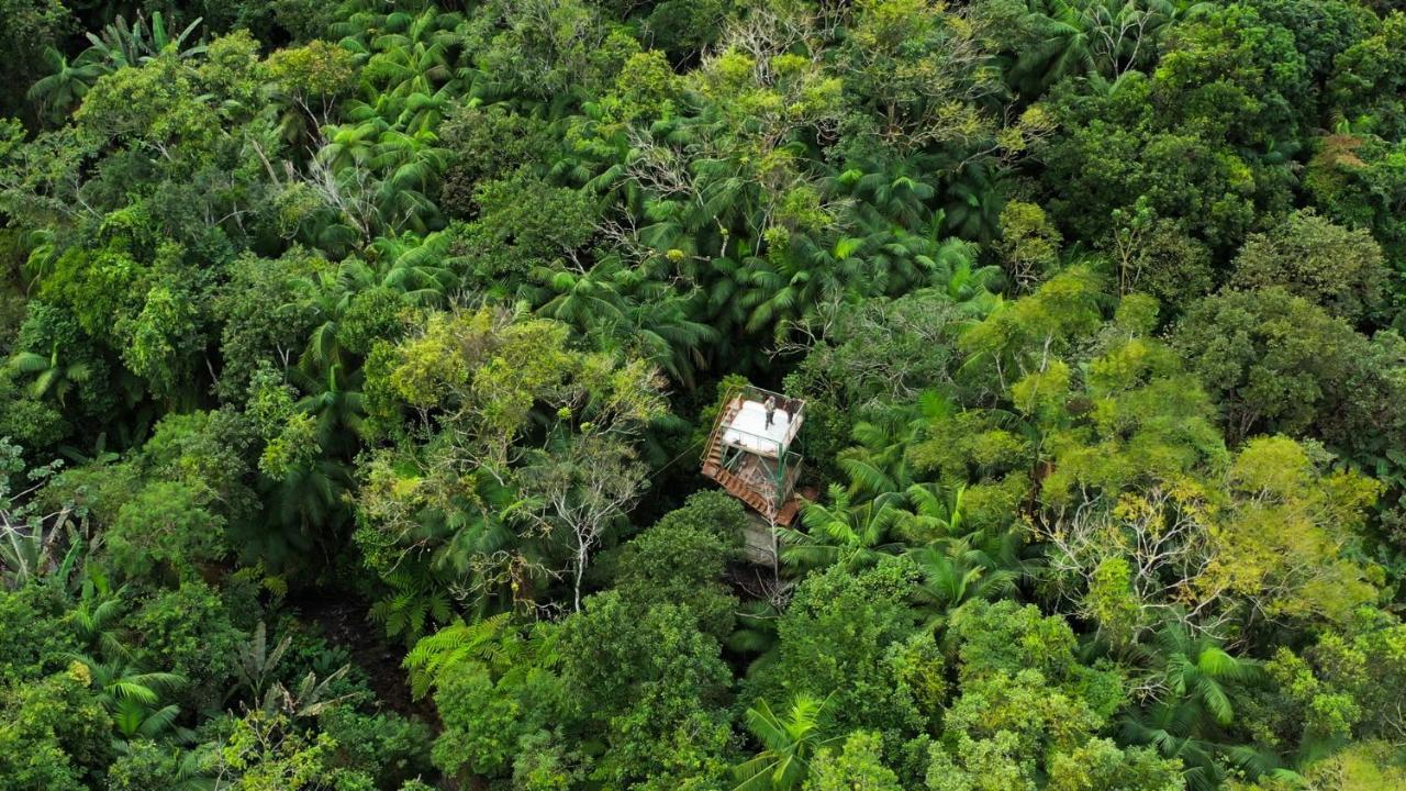 Готель Pousada Salve Floresta Тапіраі Екстер'єр фото