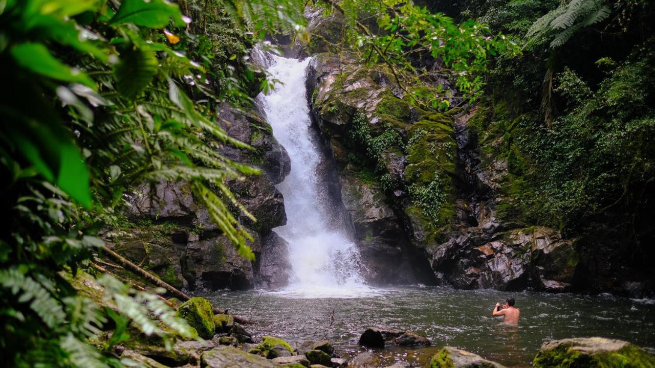 Готель Pousada Salve Floresta Тапіраі Екстер'єр фото